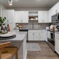 A modern apartment kitchen with an island at Sentosa Riverview in Riverview, Florida