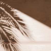 Shadow of a palm tree at Fountains at Forestwood in Fort Myers, Florida