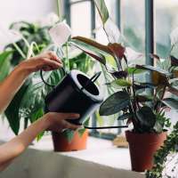 Woman watering her plants at Norco Valley Square in Norco,California