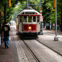 Cute kitten posing for a photo outside her apartment at Art Lofts at Overton in Memphis, Tennessee