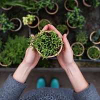 Person holding a plant at Athena Apartments in Benbrook, Texas