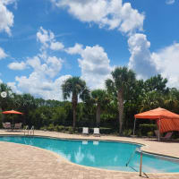 Enjoy our sparkling pool at The Reserve at Brookhaven in Palm Coast, Florida