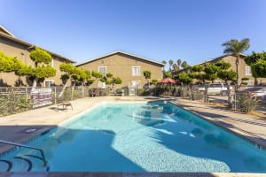 Swimming pool with cool landscaping at Country Apartments in Chula Vista, California