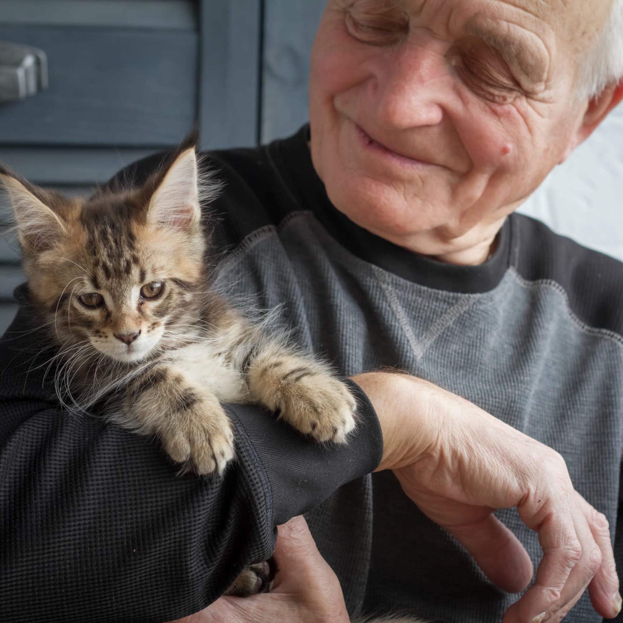 Pet-friendly at Broadwell Senior Living in Kearney, Nebraska