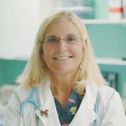NVA pet doctor