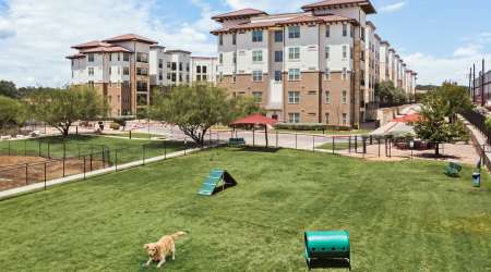 Large Dog Park