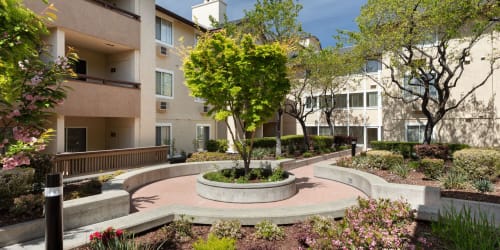 Beautiful landscaped courtyard at Bentley Place in Hayward, California