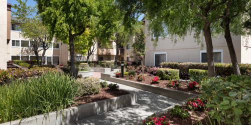 Landscaped outdoor area at Bentley Place in Hayward, California