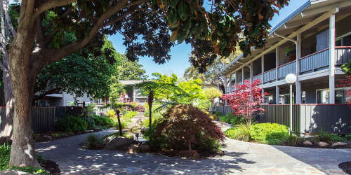Modern Apartments at Park Orchard in Hayward, California