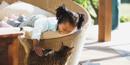Child petting her pet cat affectionately at Cypress Trace in Brandon, Florida