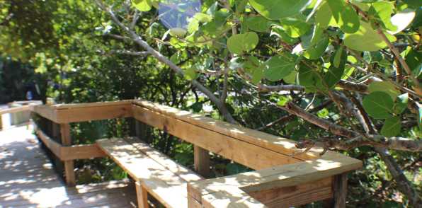 Residents in a park on bicycles at Champions Vue Apartments in Davenport, Florida