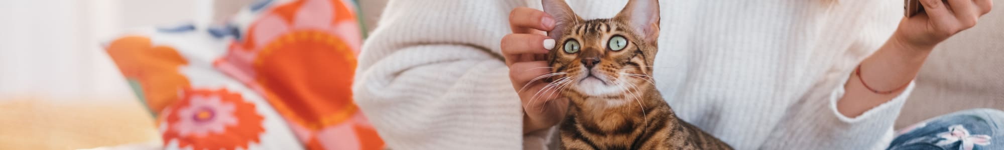 Pet friendly apartments in Fort Worth, Texas at Dixon at Stonegate