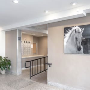 Common area with a cool horse photo at Eastgold Long Island in Long Beach, New York