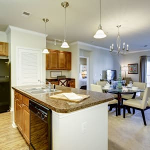 Spacious luxury apartment at Regency Crest in Ellicott City, Maryland.
