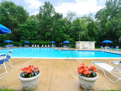 Sundeck and swimming pool area at Nieuw Amsterdam Apartment Homes in Marlton, NJ