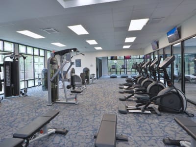 Amenities at Lynbrook at Mark Center Apartment Homes