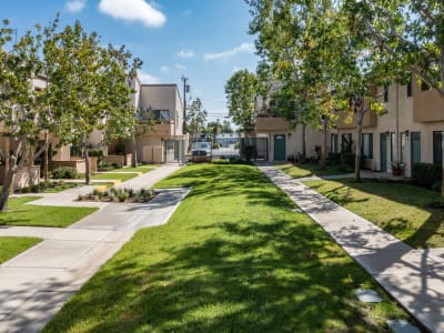 View amenities at Wallace Court Apartments in Costa Mesa, California