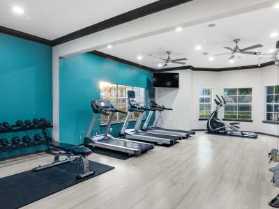 View amenities at Hollister Place Apartments in Houston, Texas