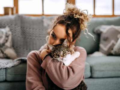 Link to the pet screening portal for Bellamonte in Tacoma, Washington