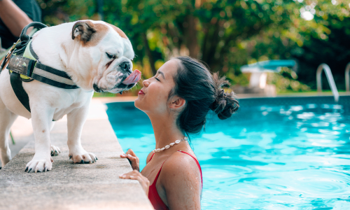 Resident swimming and kissing her pup at The Hampton in Fayetteville, North Carolina