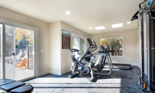 Modern gym fitness room with large windows and treadmills at The Marq in Santa Rosa, California