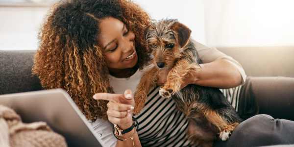 Pet-friendly at The Lex in Lexington, KY