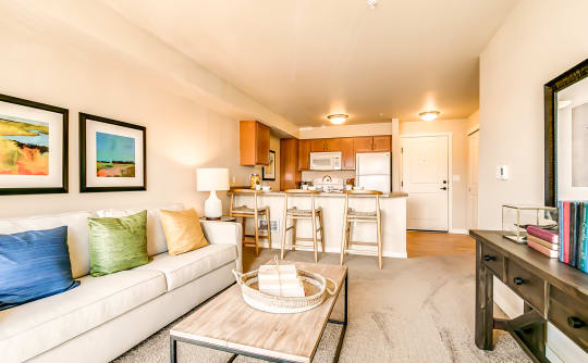 Affinity at Albuquerque living room with natural light