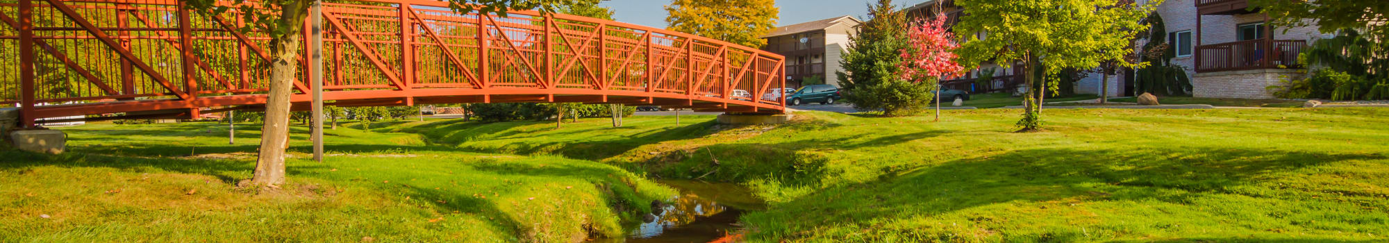 Creek Club Apartments' neighborhood in Williamston, Michigan