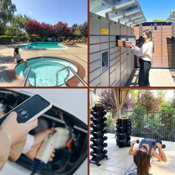The Shadows Apartments Amenities flipcard