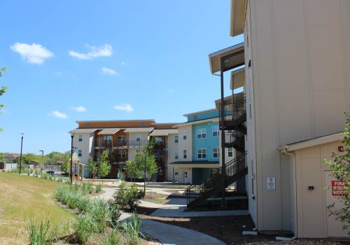 Greenery all around at Live Oak Trails in Austin, Texas