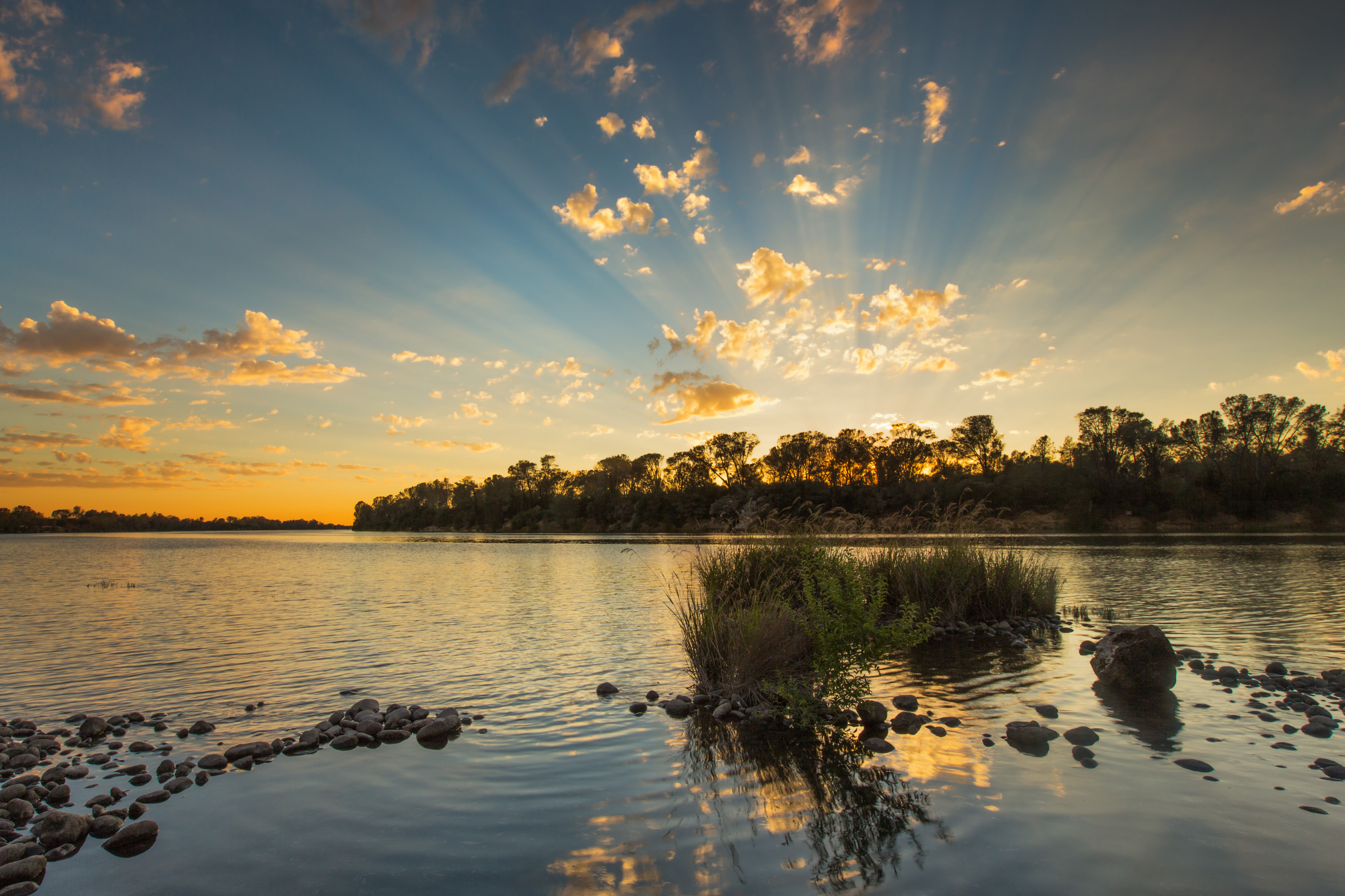 Contact Dale Commons in Modesto, California