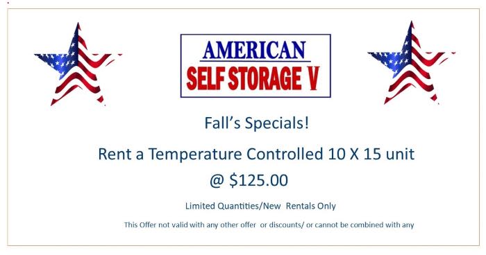 American Self Storage