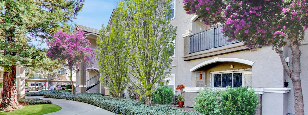 Exterior Building View Hawthorn Village Apartments in Napa, California