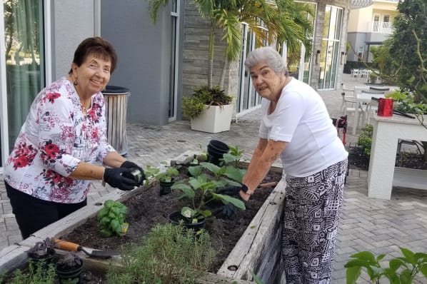 Fresh Herb Planting at All Seasons Naples in Naples, Florida
