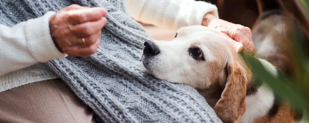 A resident and his dog at The Peaks at South Jordan Memory Care in South Jordan, Utah