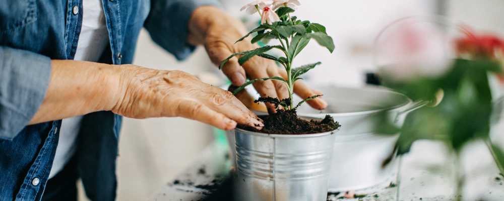 Resident potting plants at Hayloft Big Creek in Alpharetta, Georgia