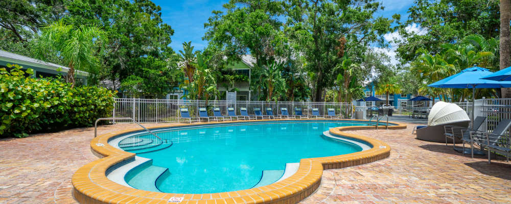 A view of the community swimming pool at Mode at Ballast Point in Tampa, Florida