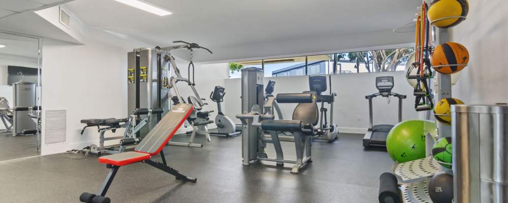 Exercise equipment in the fitness center at Forest Place in North Miami, Florida 