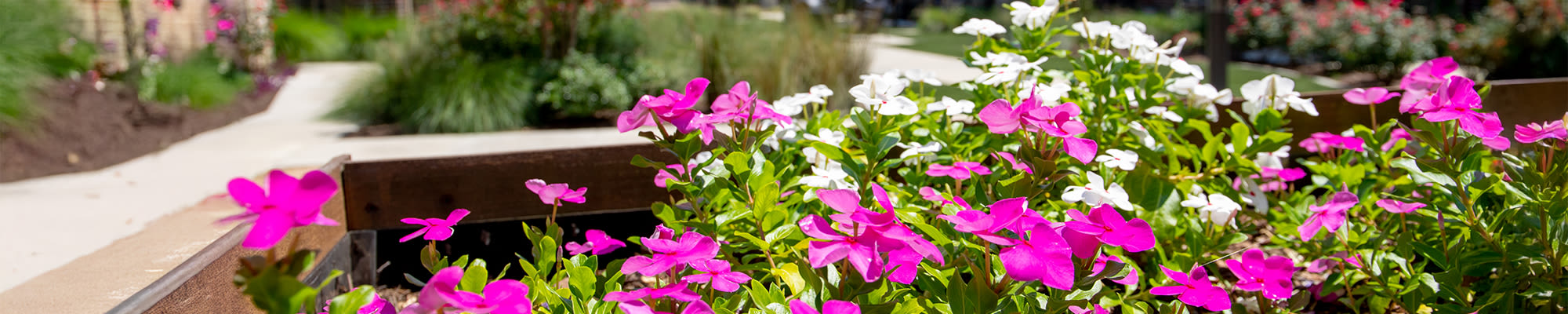 Photo gallery at Watercrest at Shadow Creek Ranch in Pearland, Texas