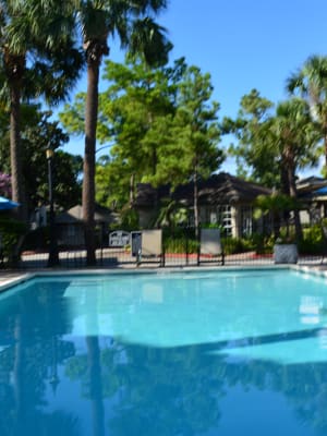 Swimming Pool at The Abbey at Briargrove Park in Houston,Texas