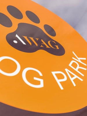 Dog park at The Woodlands in Belleville, New Jersey