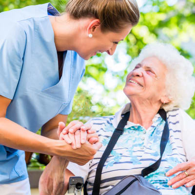 Medical and Vet services in Charlotte near Preston House