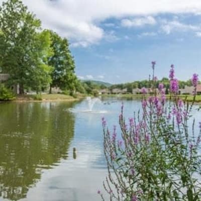 Call Emerald Springs Apartments your home in Painted Post, New York