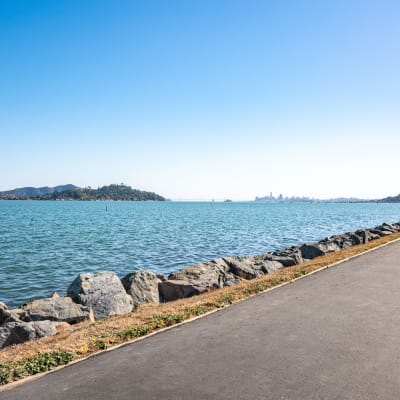Views of the bay from our waterfront property at Harbor Point Apartments in Mill Valley, California