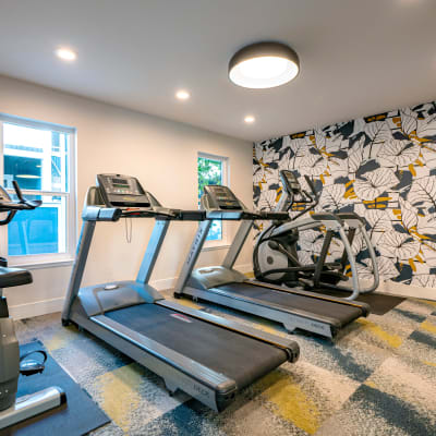 Treadmills and other cardio machines in the fitness center at Terra Martinez in Martinez, California