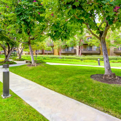 Walking path between green trees and well-manicured grass at Sofi Irvine in Irvine, California