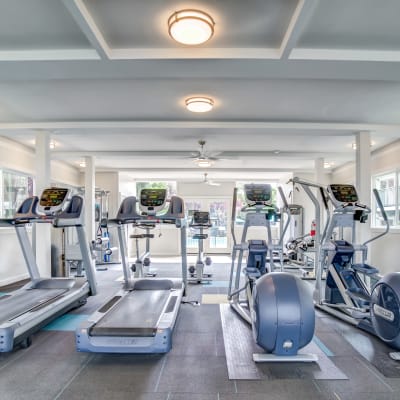 Spacious fitness center with various cardio machines at Sofi at Los Gatos Creek in San Jose, California