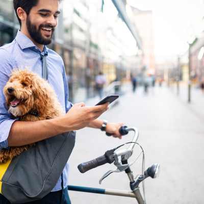 Link to pet policy of Tahoma Valley Apartments in Seattle, Washington