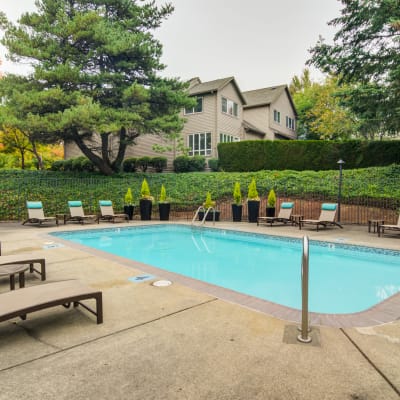 Chaise lounge chairs and mature trees around the swimming pool at Sofi Lake Oswego in Lake Oswego, Oregon