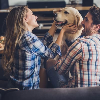 Resident lying down with baby on stomach and dog licking baby's ear at Marquis at Waterview in Richardson, Texas 